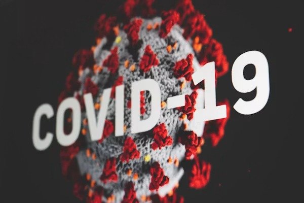 New Global Health Protocols